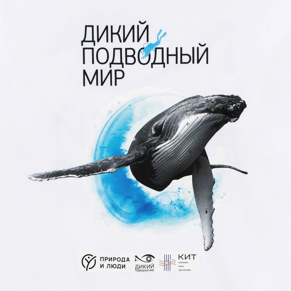 Футболка унисекс Regent 150