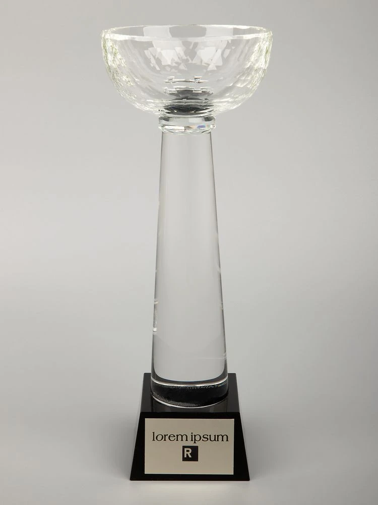 Кубок Cupture, большой