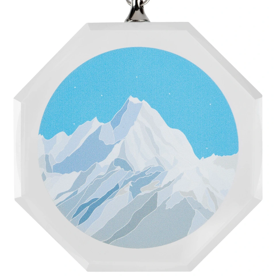 Медаль Summit