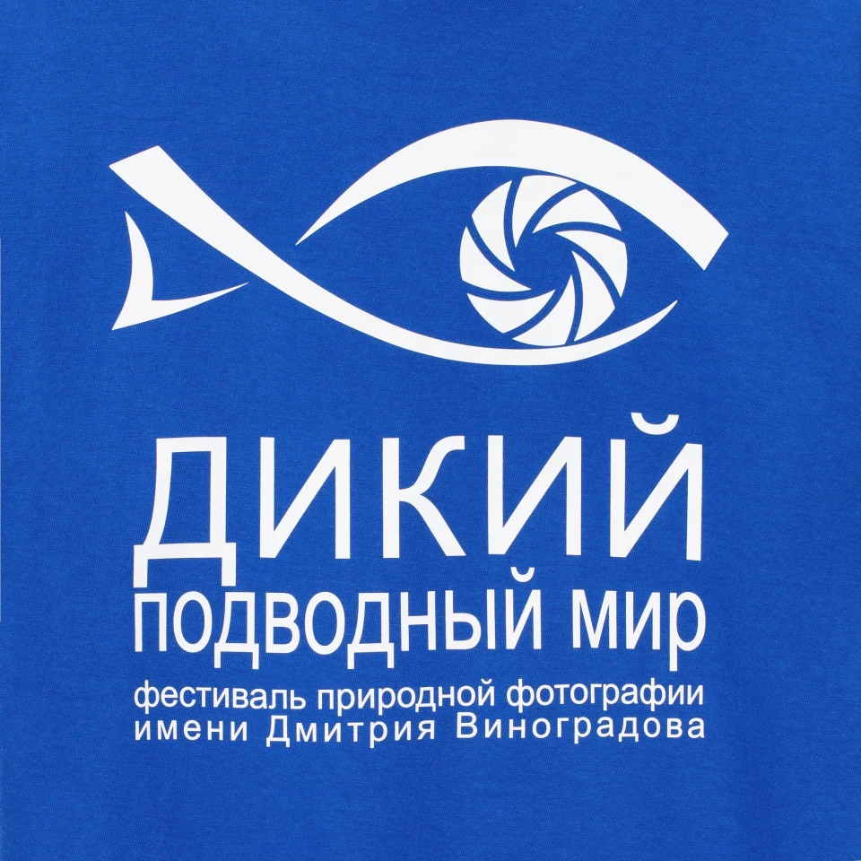 Футболка унисекс Regent 150