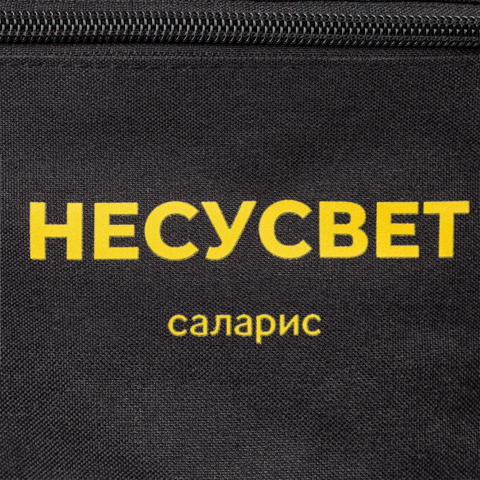 Поясная сумка Handy Dandy