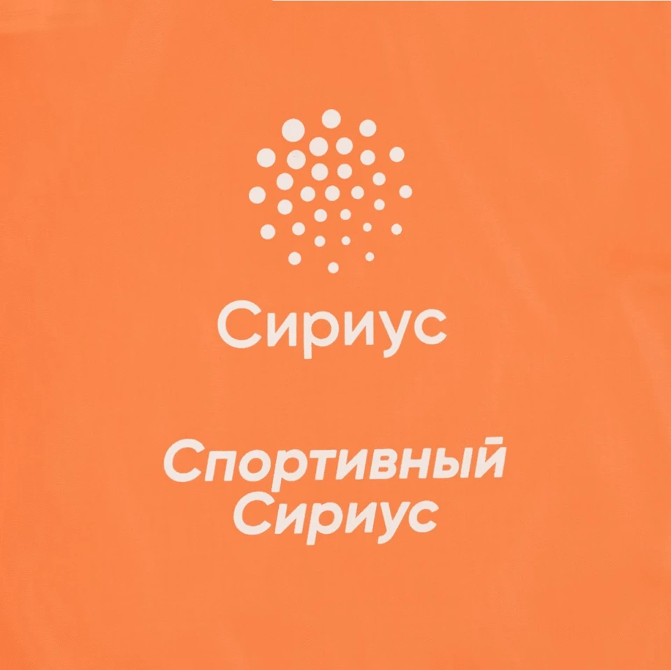 Рюкзак New Element